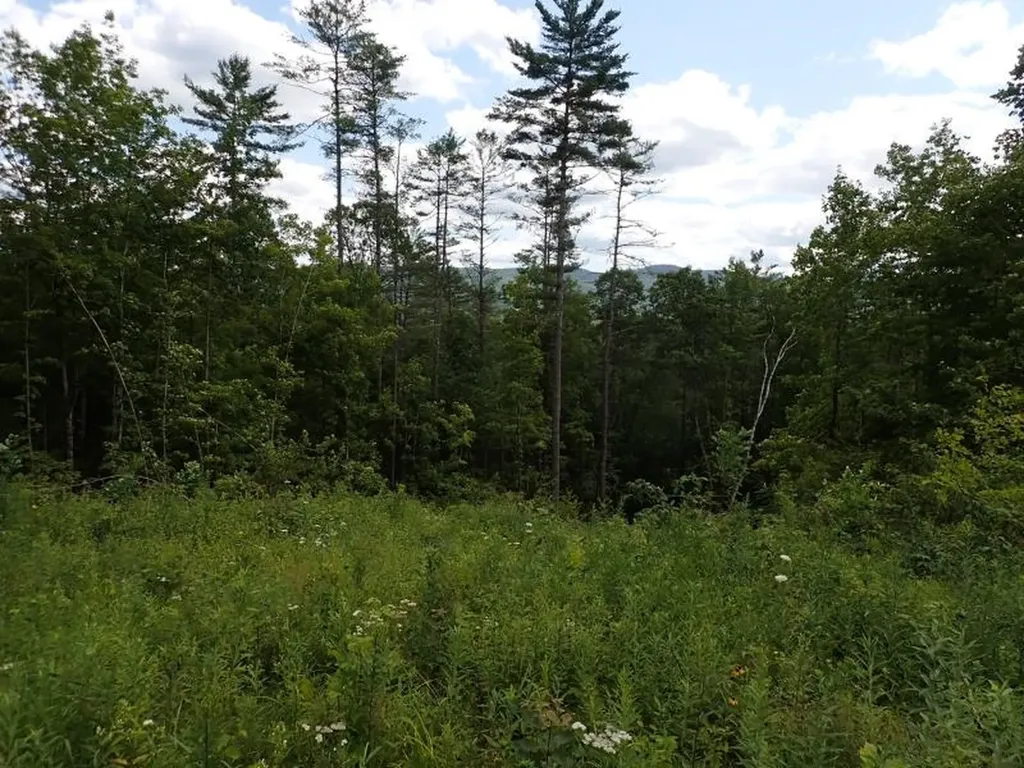 0 Denio Road Barnet VT 05821