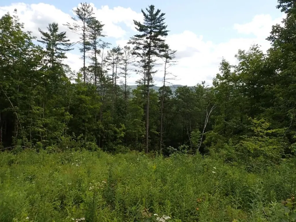 0 Denio Road Barnet VT 05821