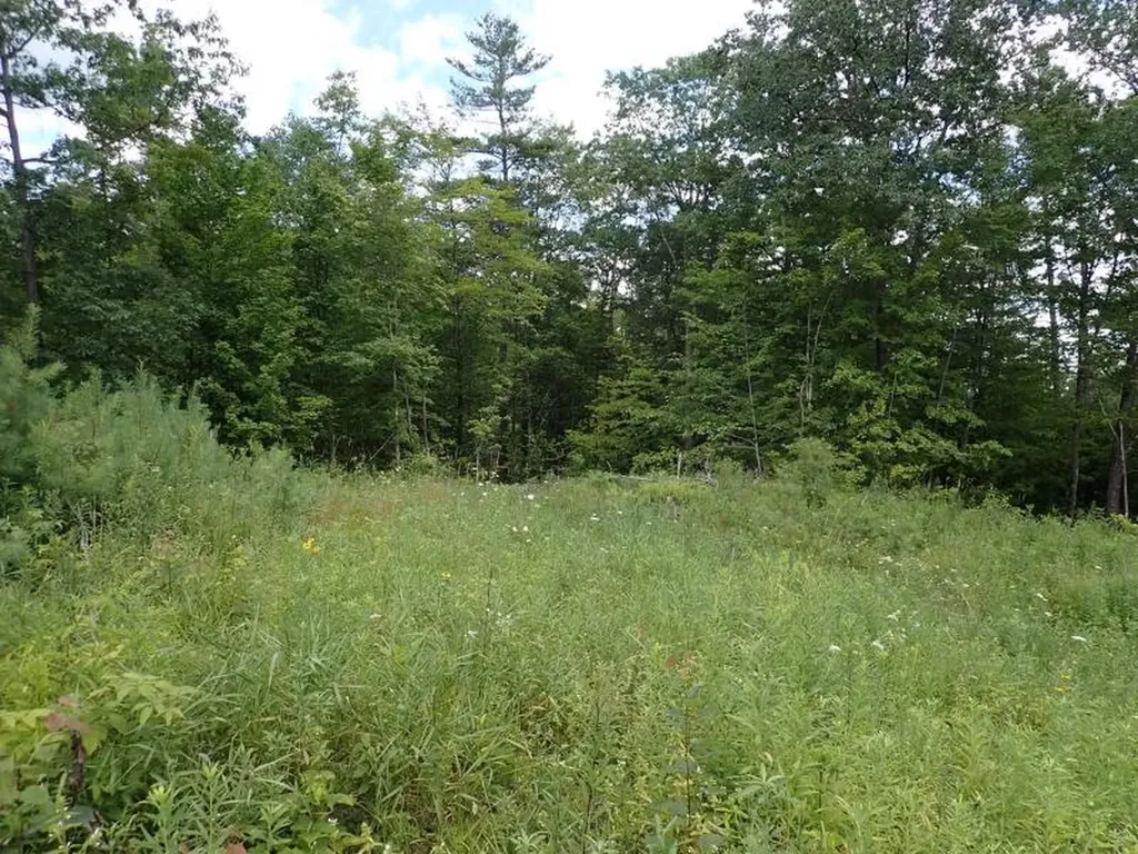 0 Denio Road Barnet VT 05821