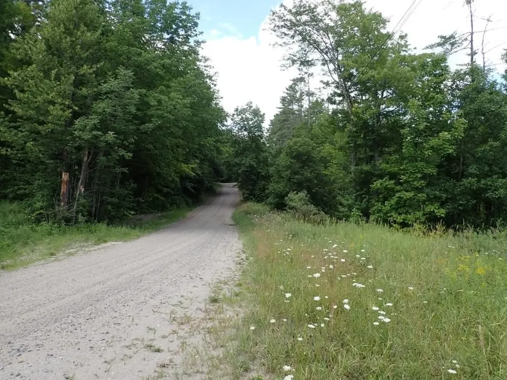 0 Denio Road Barnet VT 05821