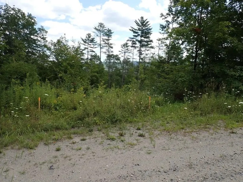 0 Denio Road Barnet VT 05821