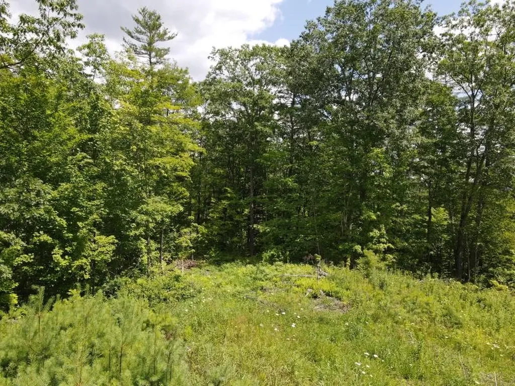 0 Denio Road Barnet VT 05821