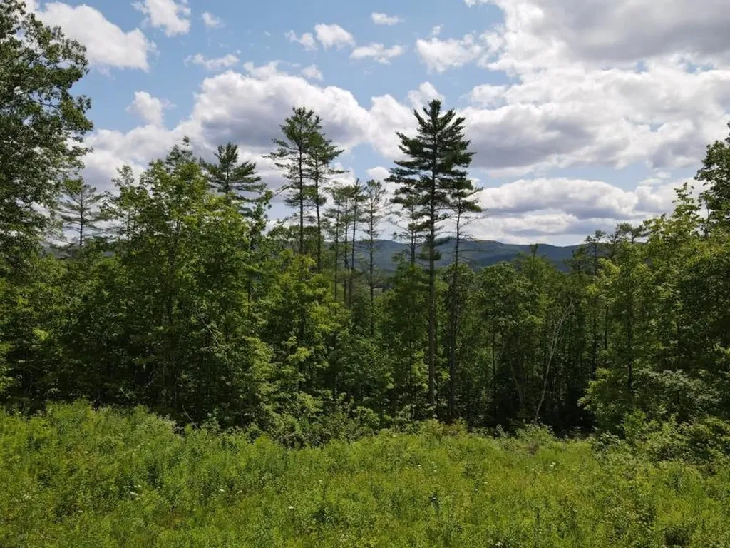 0 Denio Road Barnet VT 05821