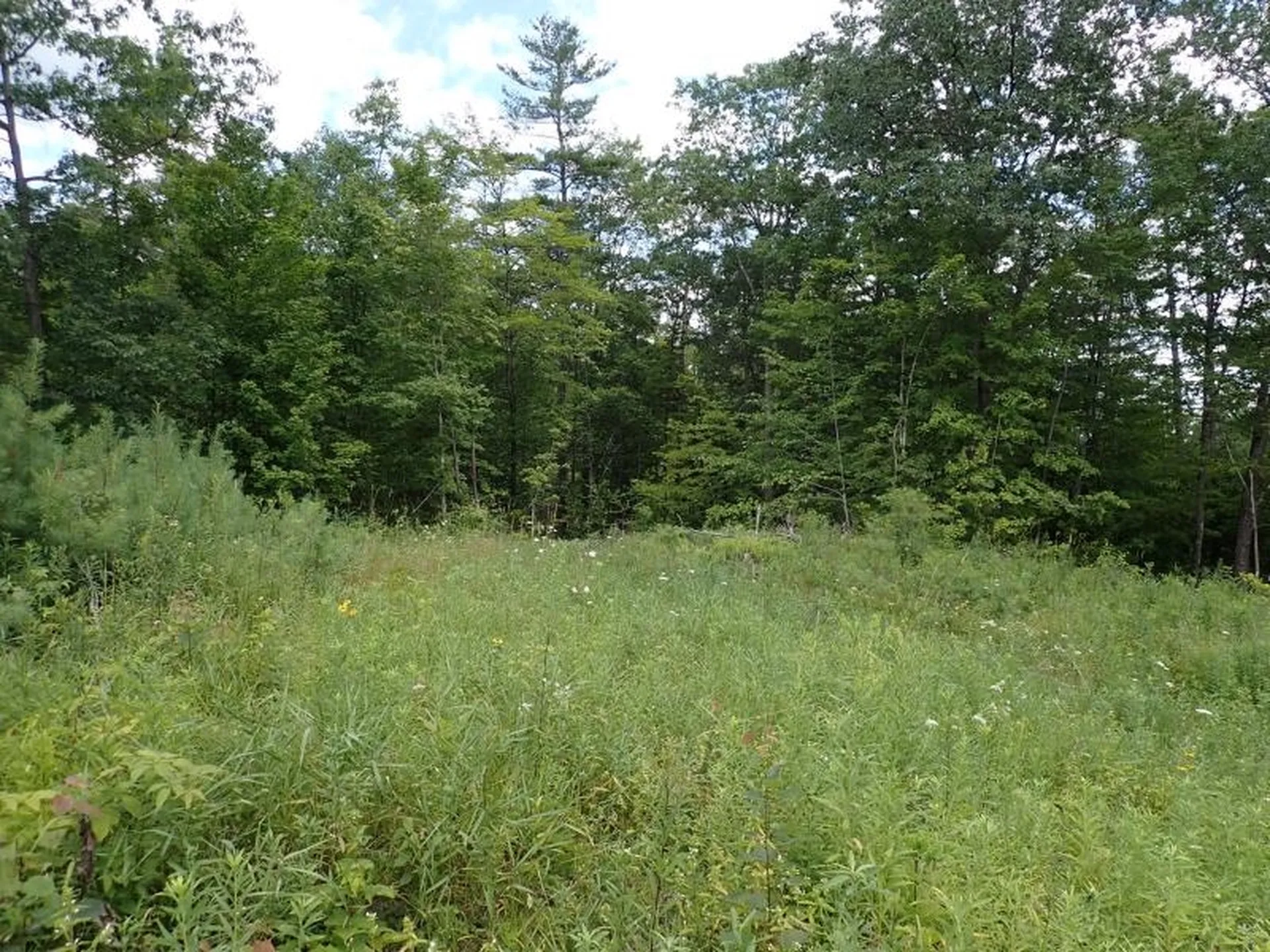 0 Denio Road Barnet VT 05821