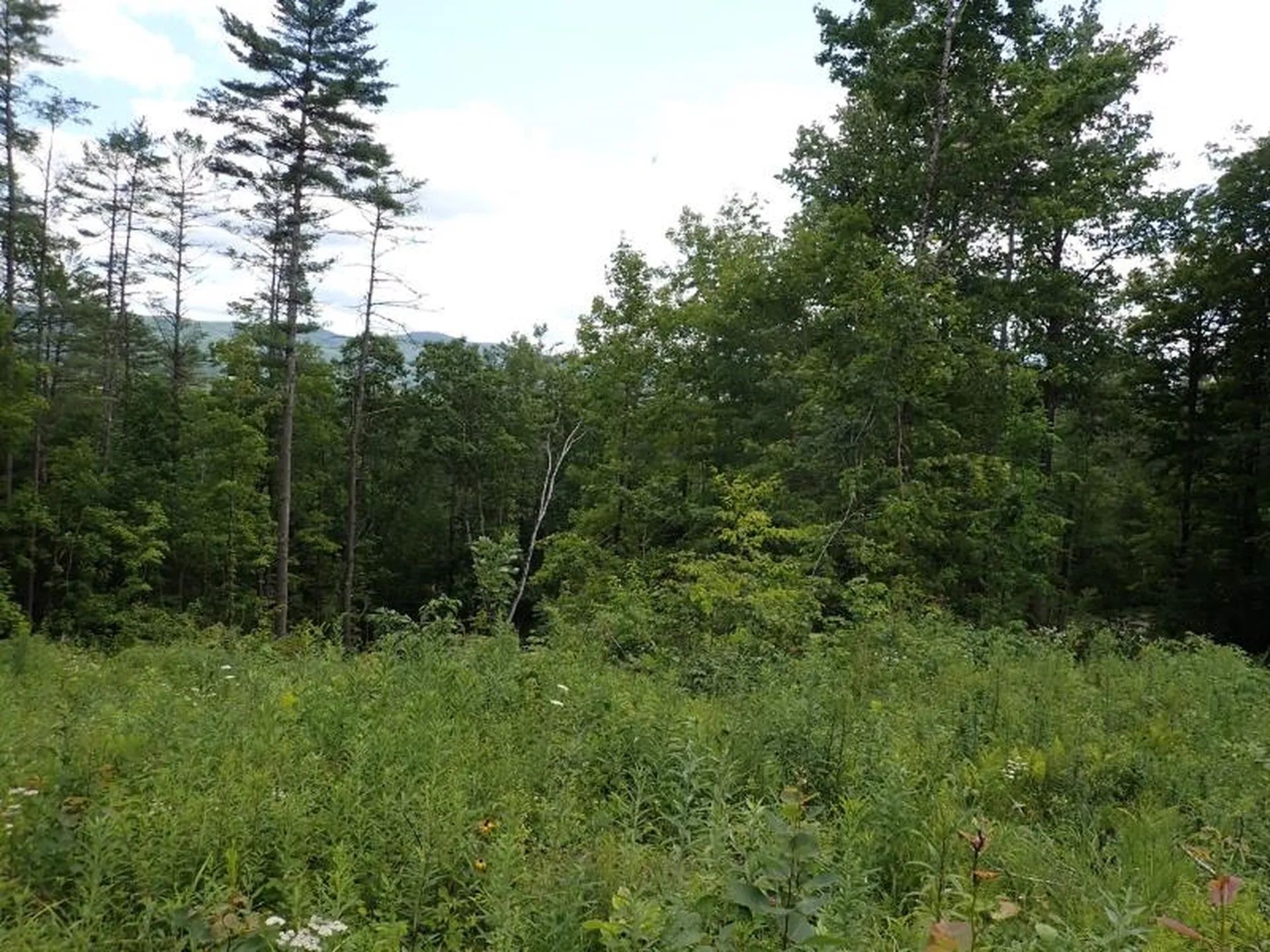 0 Denio Road Barnet VT 05821