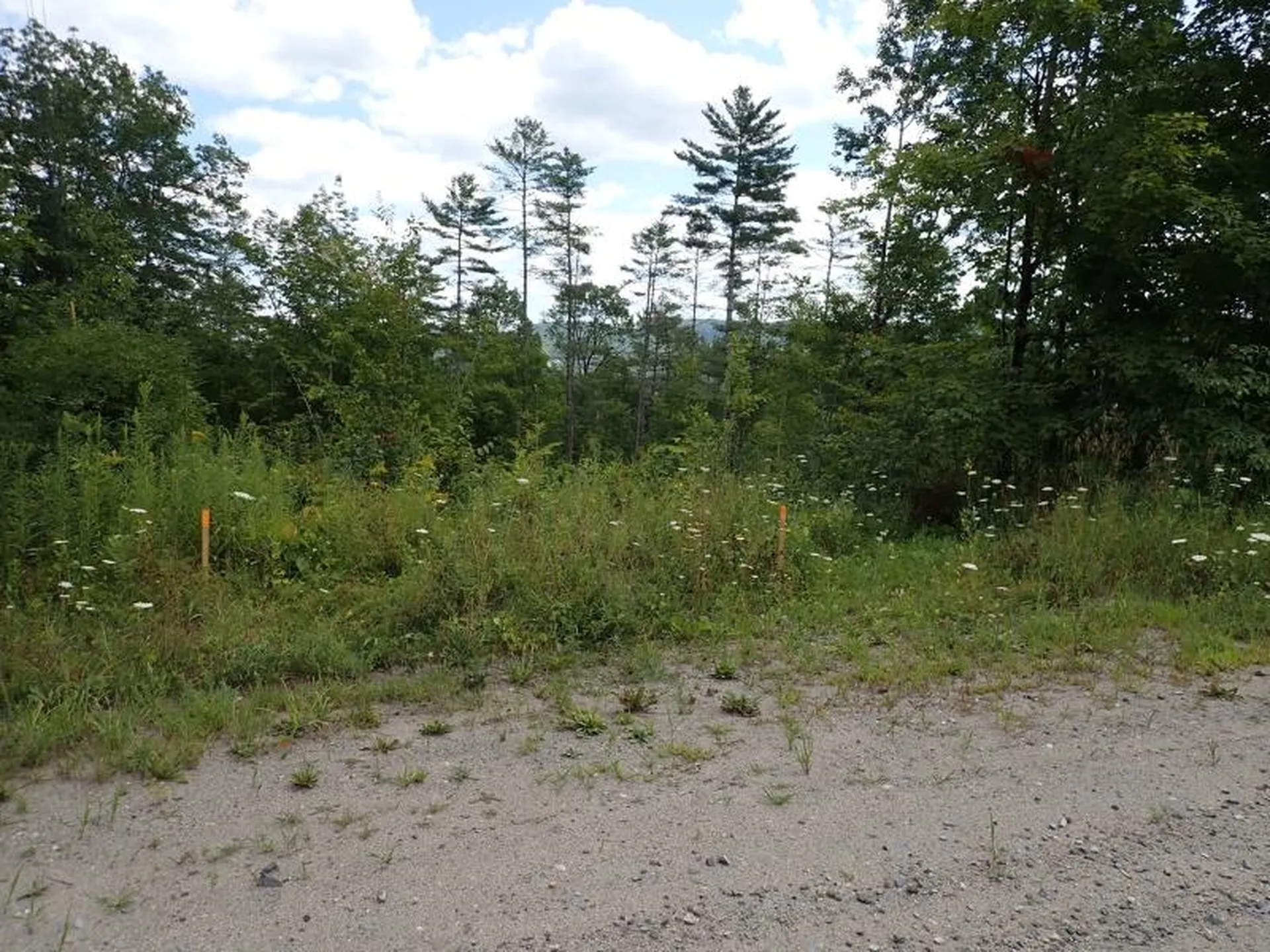 0 Denio Road Barnet VT 05821