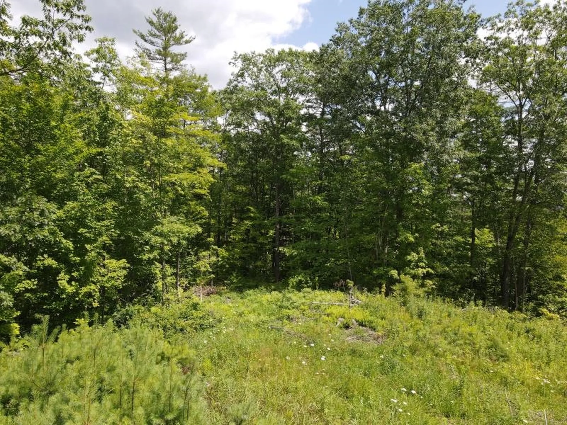 0 Denio Road Barnet VT 05821