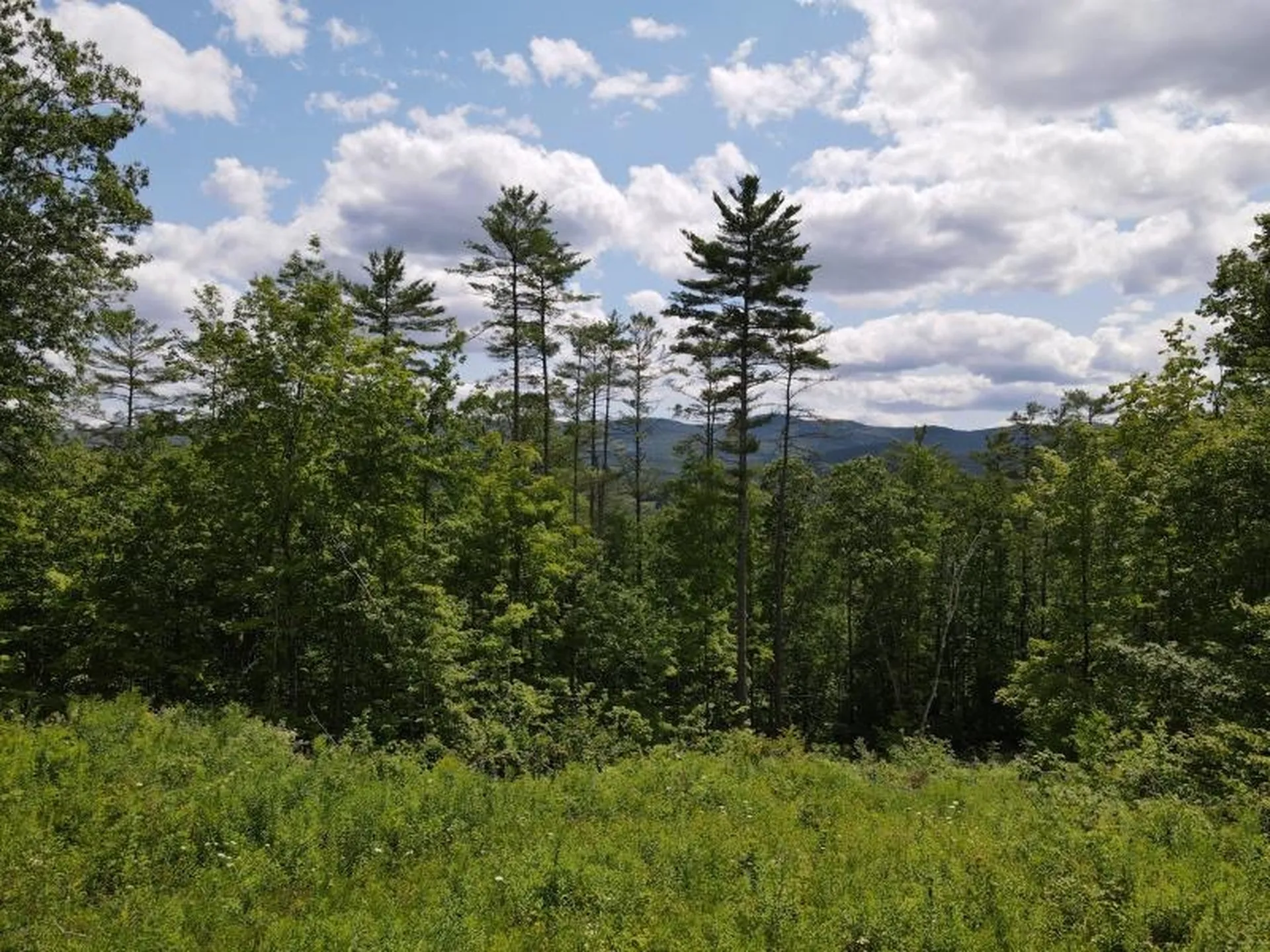 0 Denio Road Barnet VT 05821