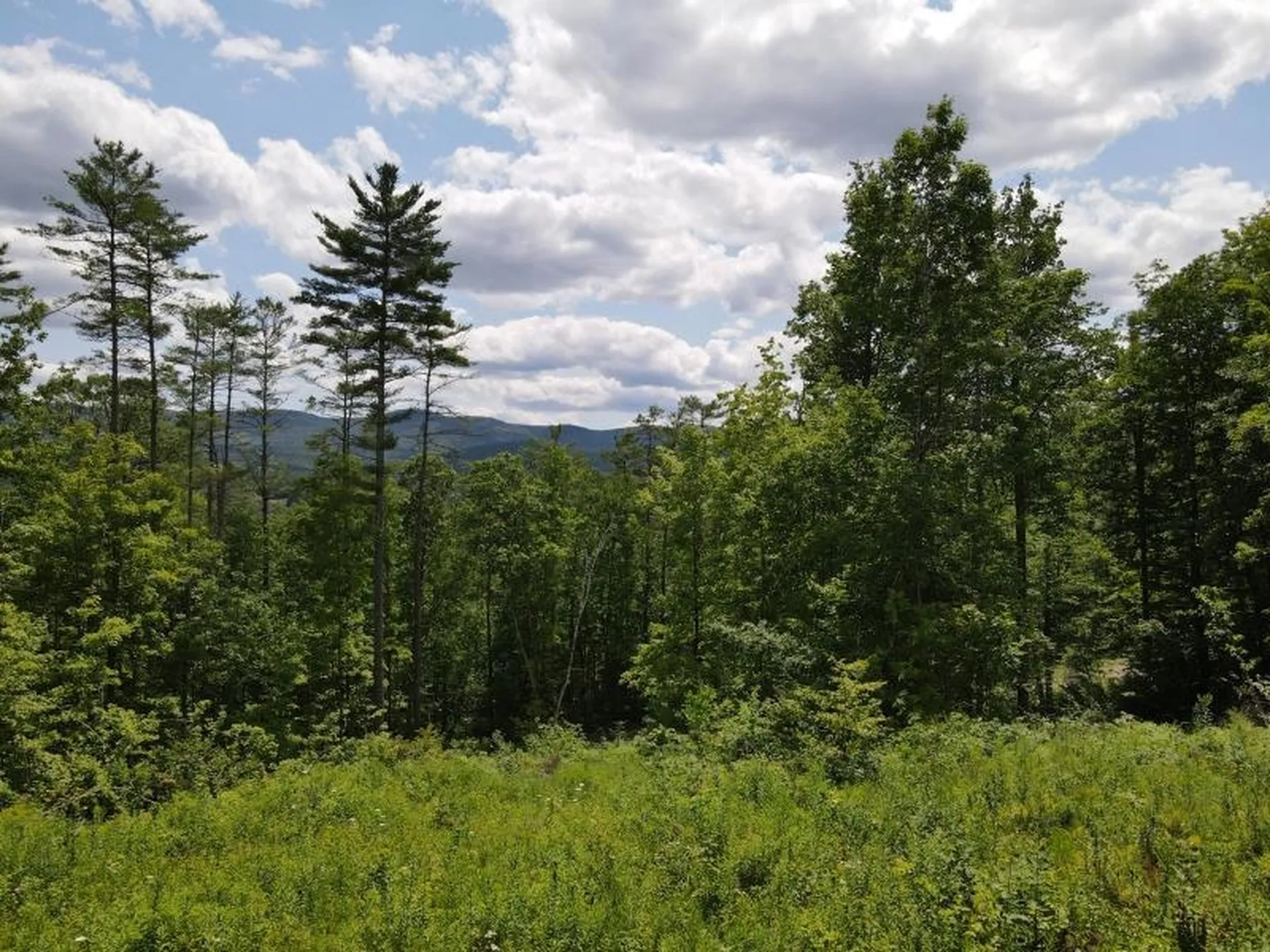 0 Denio Road Barnet VT 05821