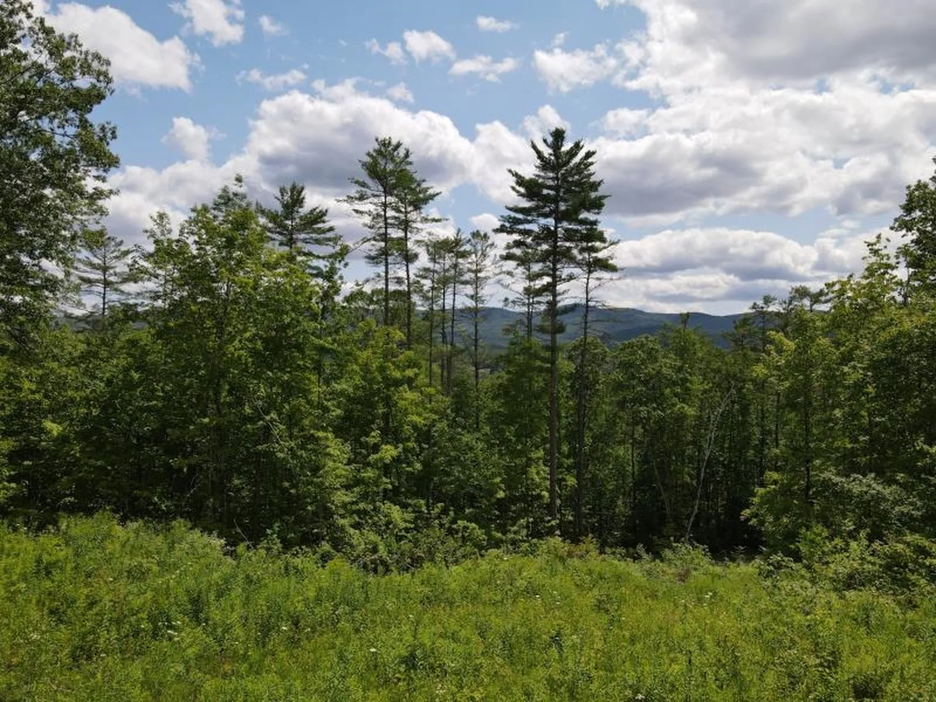 0 Denio Road Barnet VT 05821