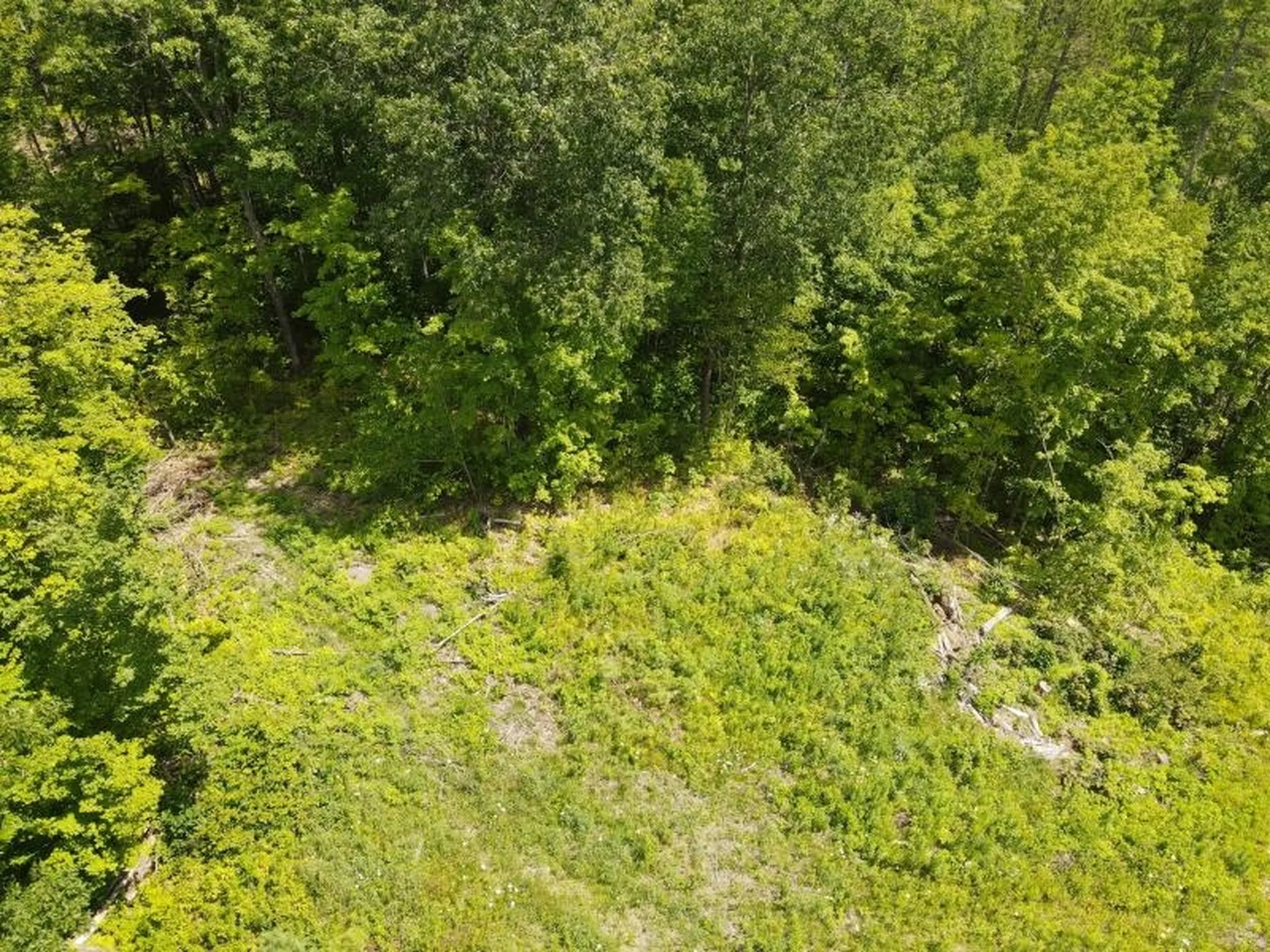 0 Denio Road Barnet VT 05821