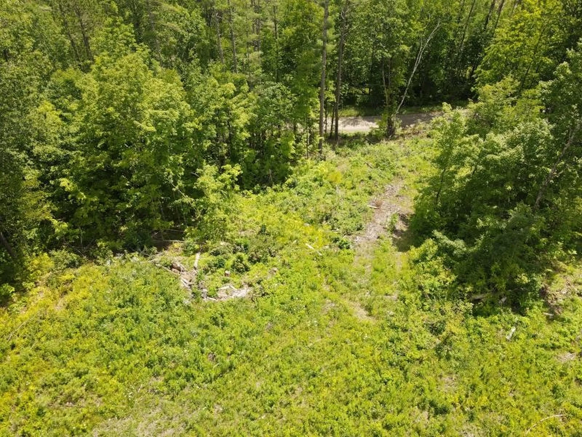 0 Denio Road Barnet VT 05821