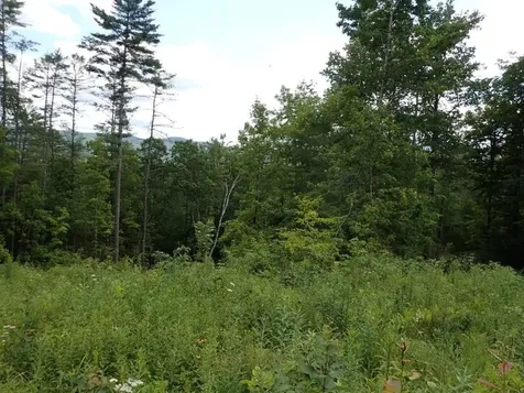 0 Denio Road Barnet VT 05821