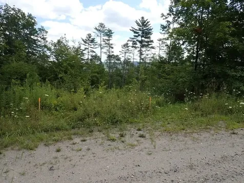 0 Denio Road Barnet VT 05821