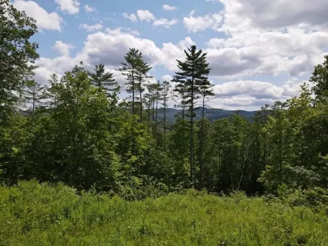 0 Denio Road Barnet VT 05821