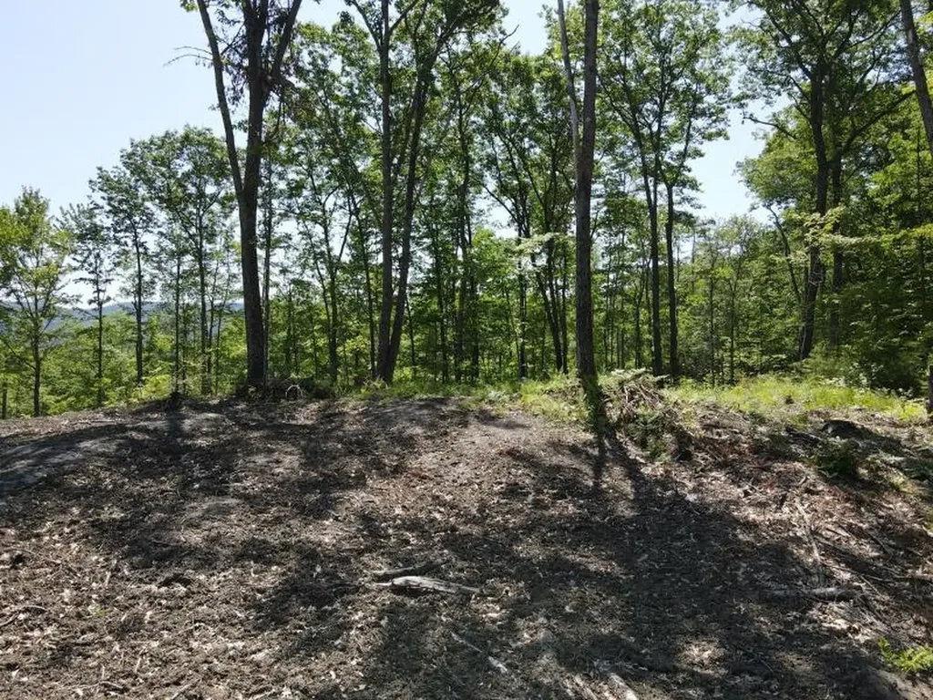 0 Denio Road Barnet VT 05821