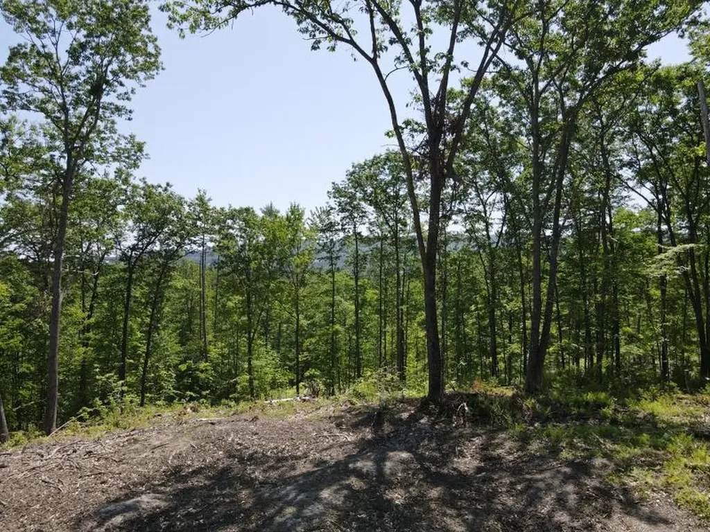 0 Denio Road Barnet VT 05821