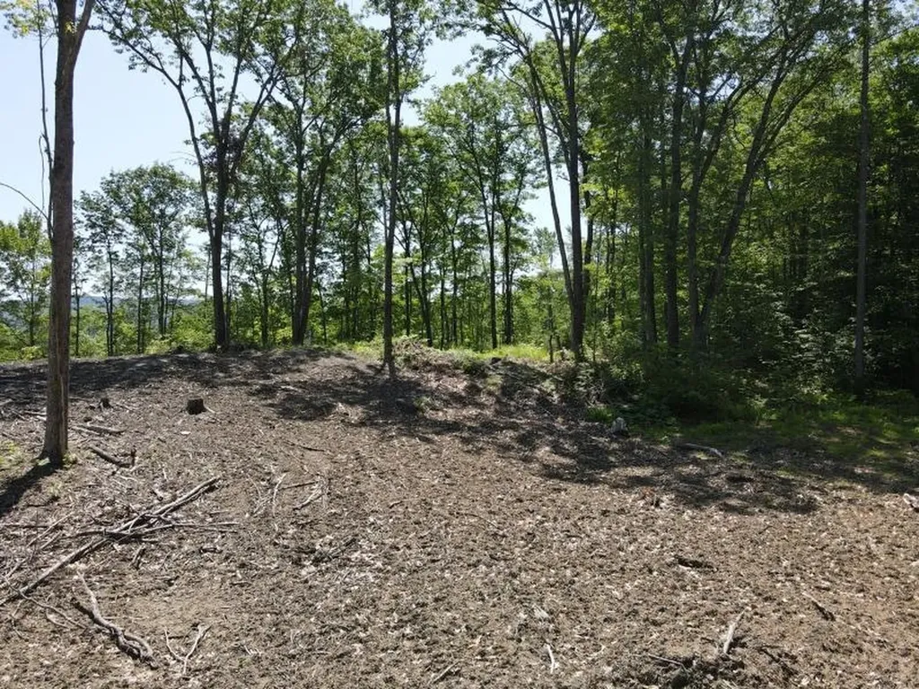 0 Denio Road Barnet VT 05821