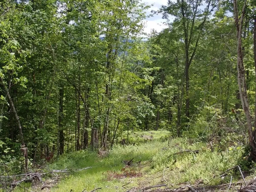 0 Denio Road Barnet VT 05821