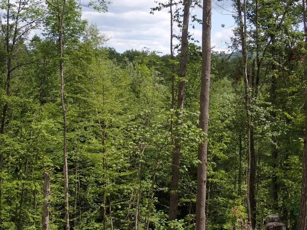 0 Denio Road Barnet VT 05821