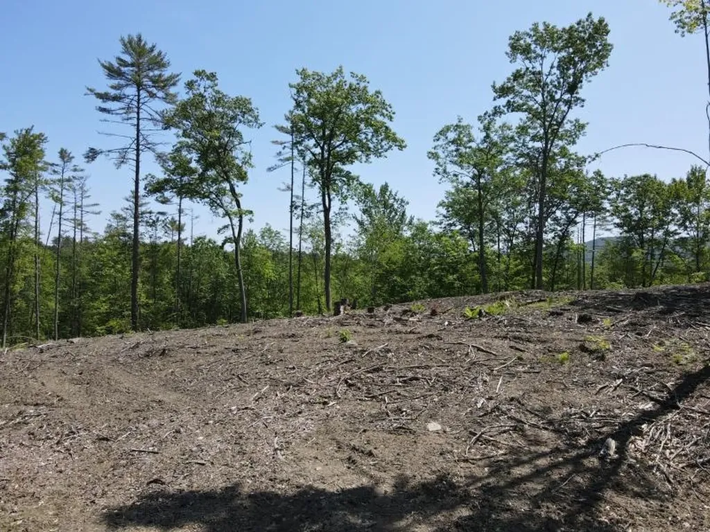 0 Denio Road Barnet VT 05821