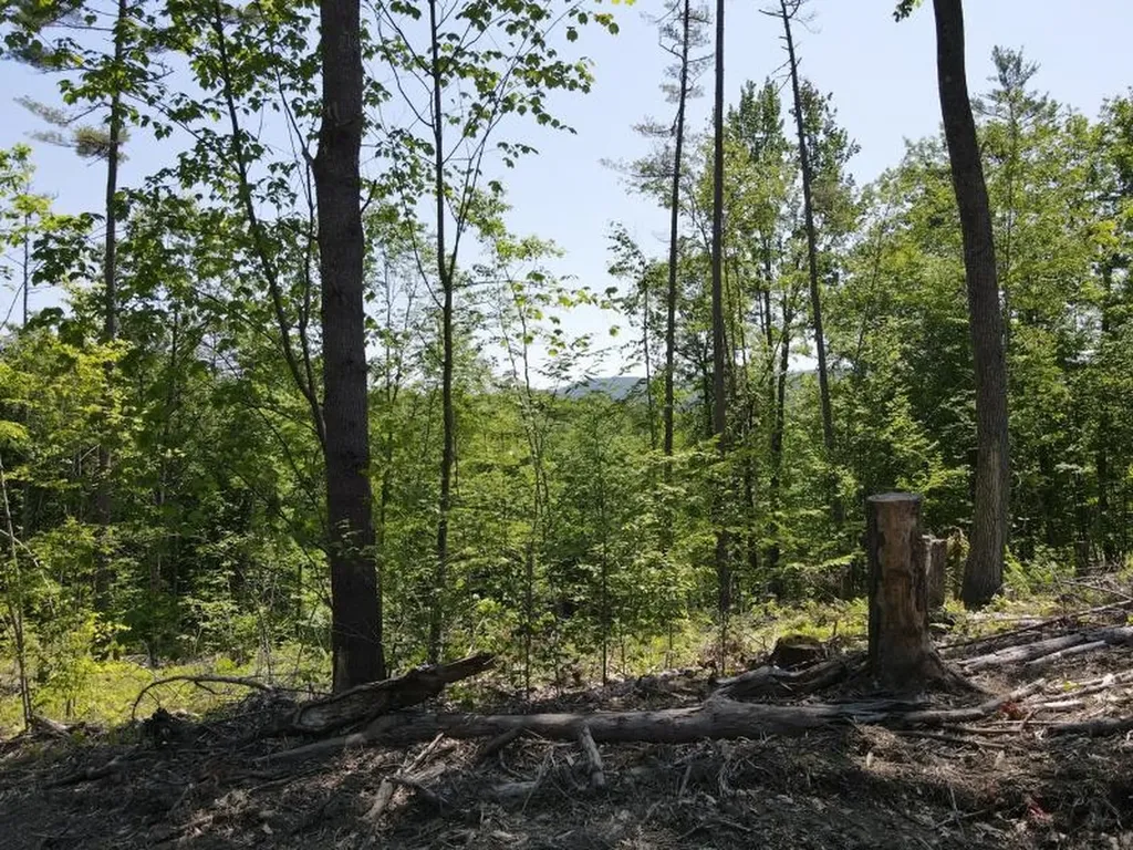 0 Denio Road Barnet VT 05821