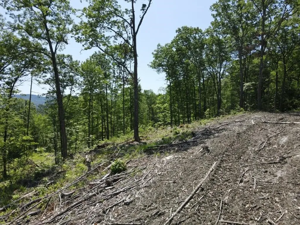 0 Denio Road Barnet VT 05821