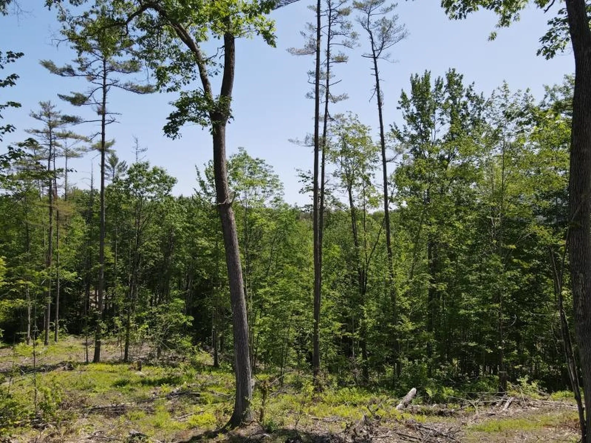 0 Denio Road Barnet VT 05821