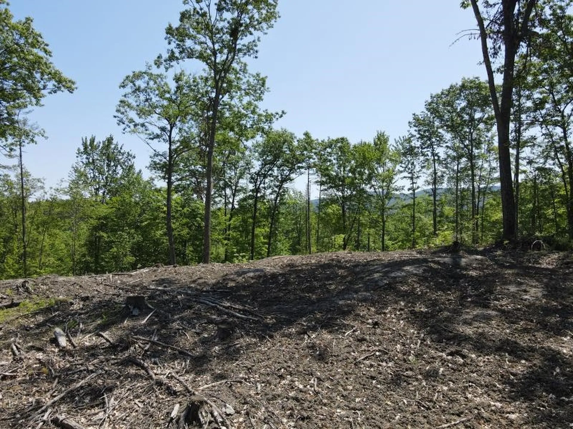 0 Denio Road Barnet VT 05821