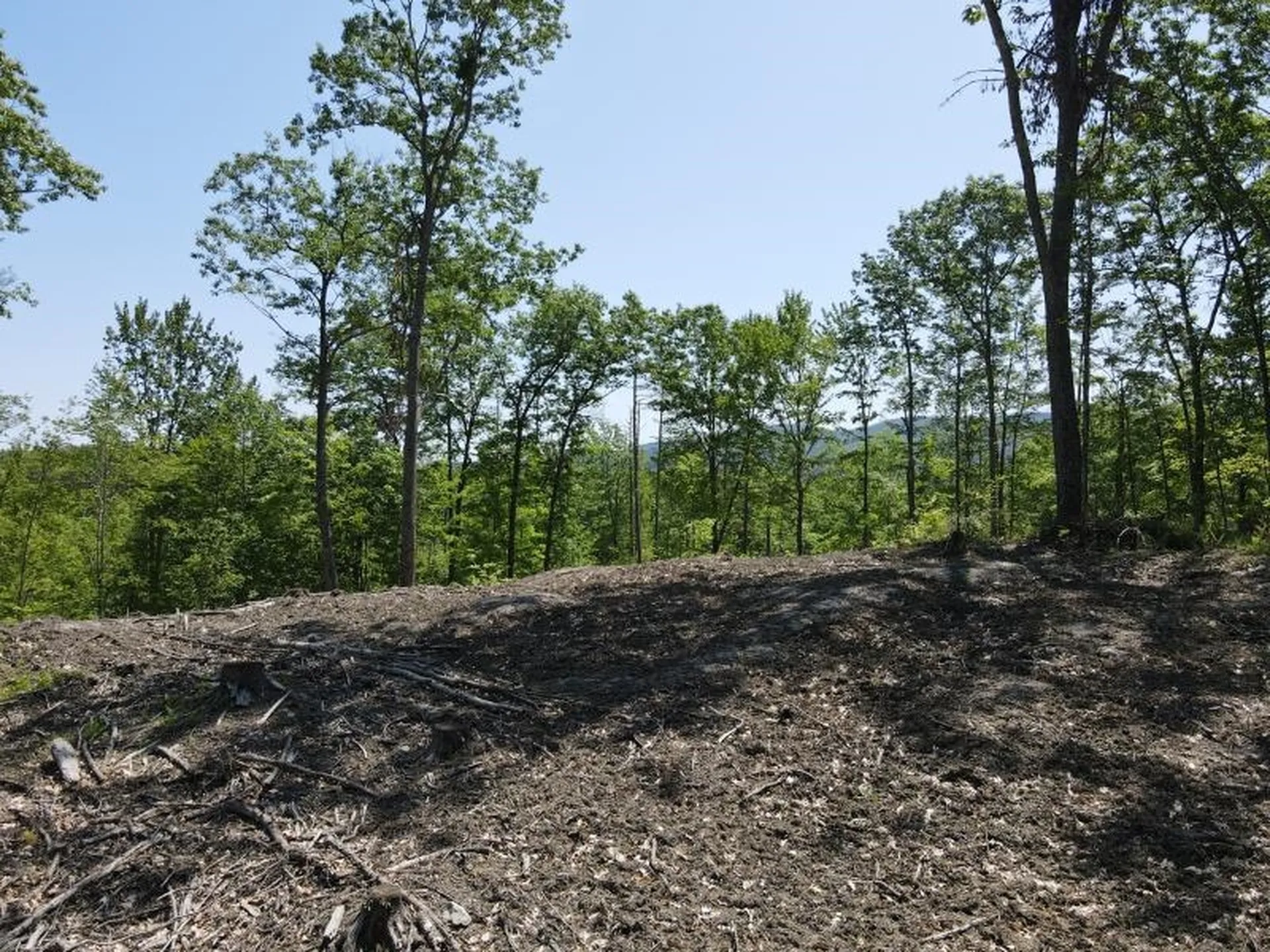 0 Denio Road Barnet VT 05821