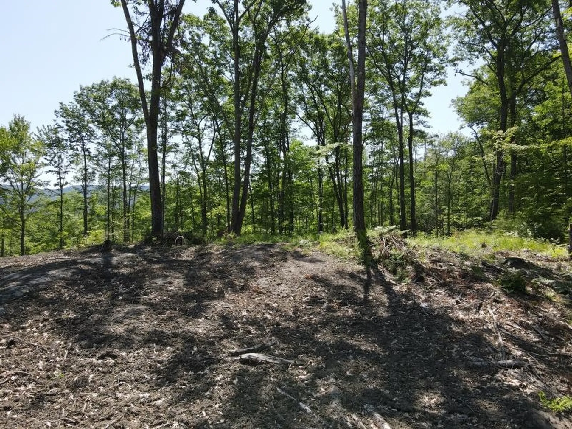 0 Denio Road Barnet VT 05821