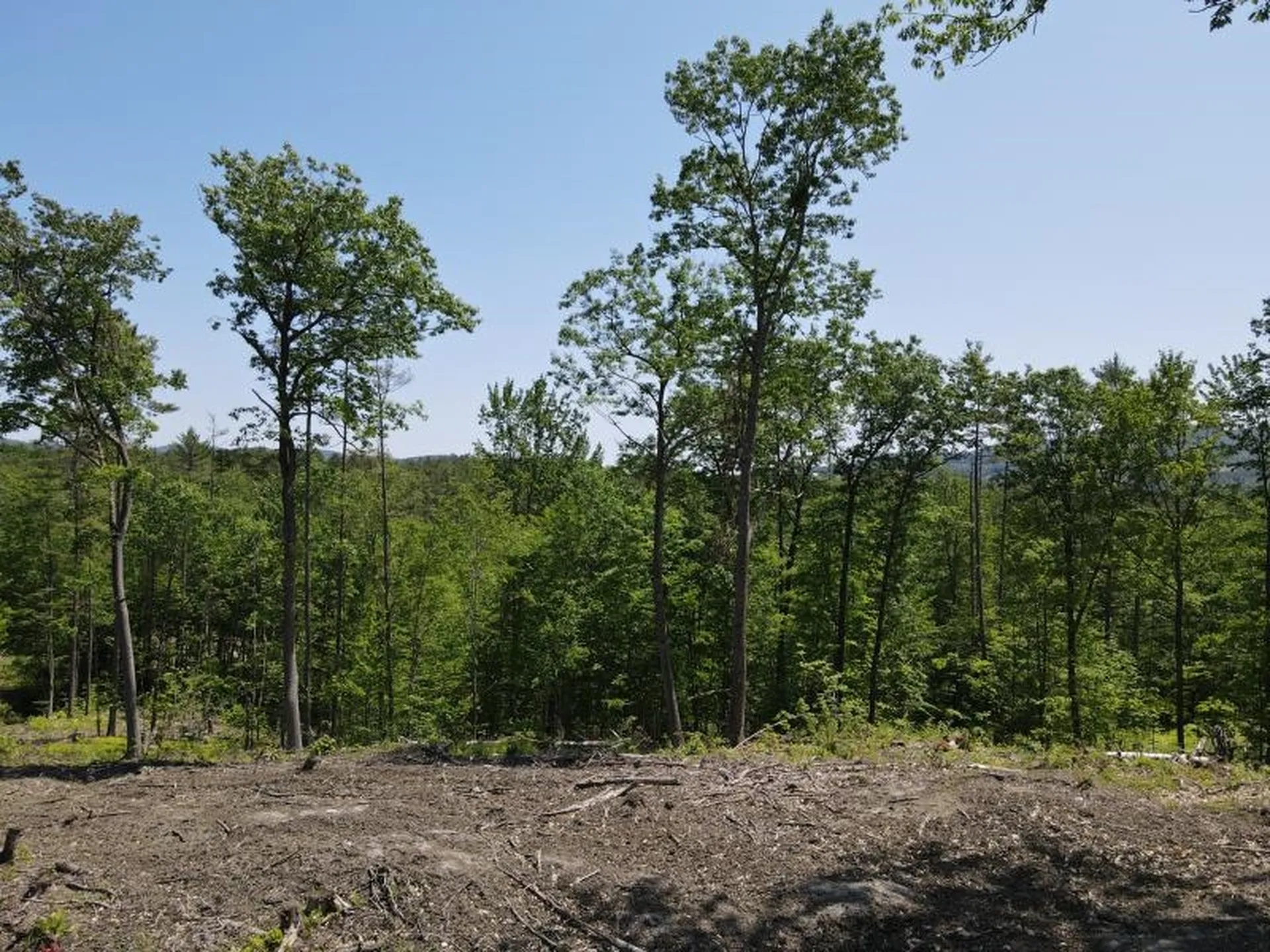 0 Denio Road Barnet VT 05821