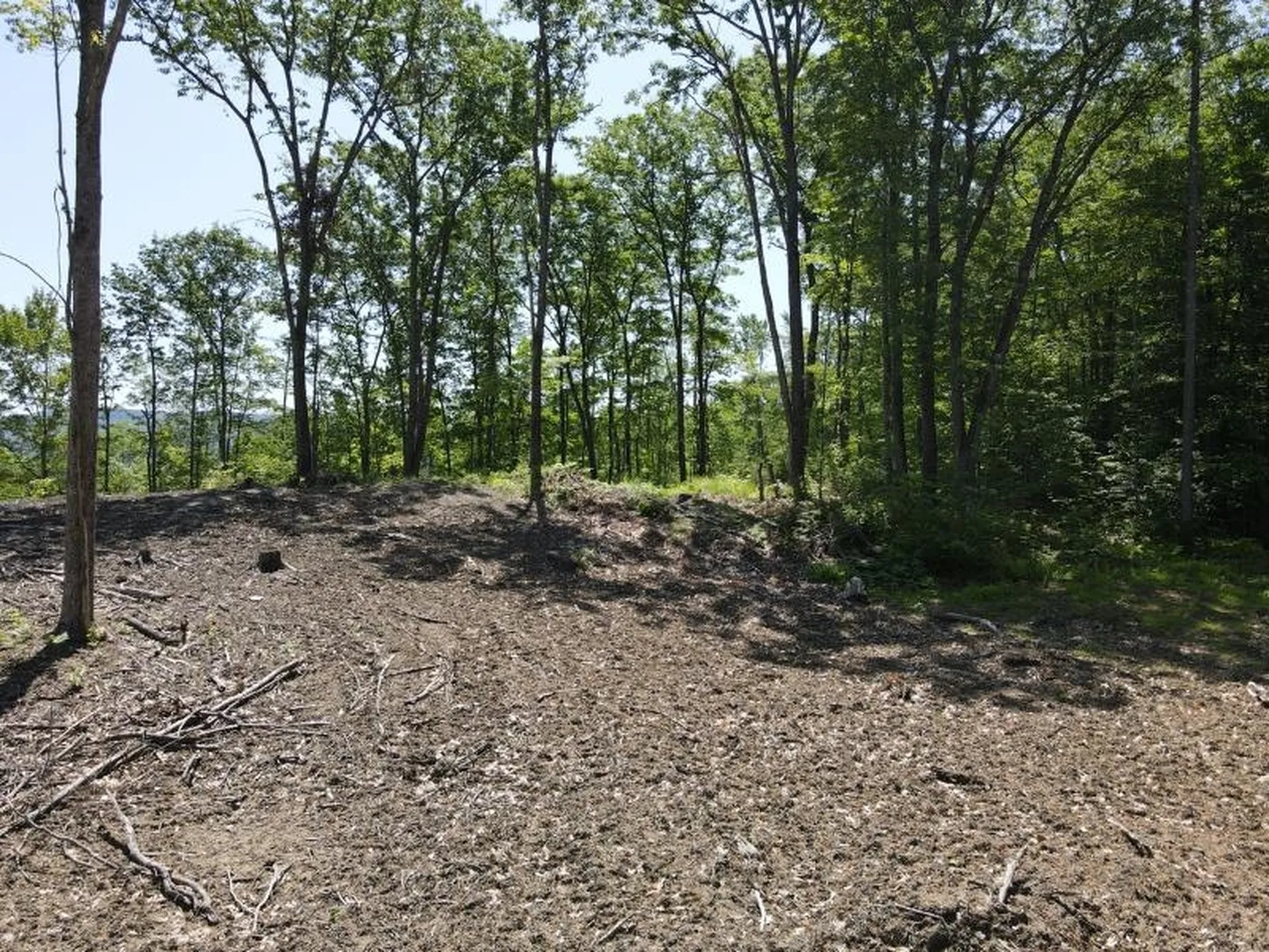 0 Denio Road Barnet VT 05821