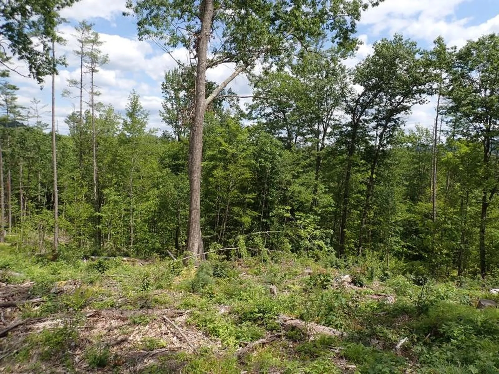 0 Denio Road Barnet VT 05821