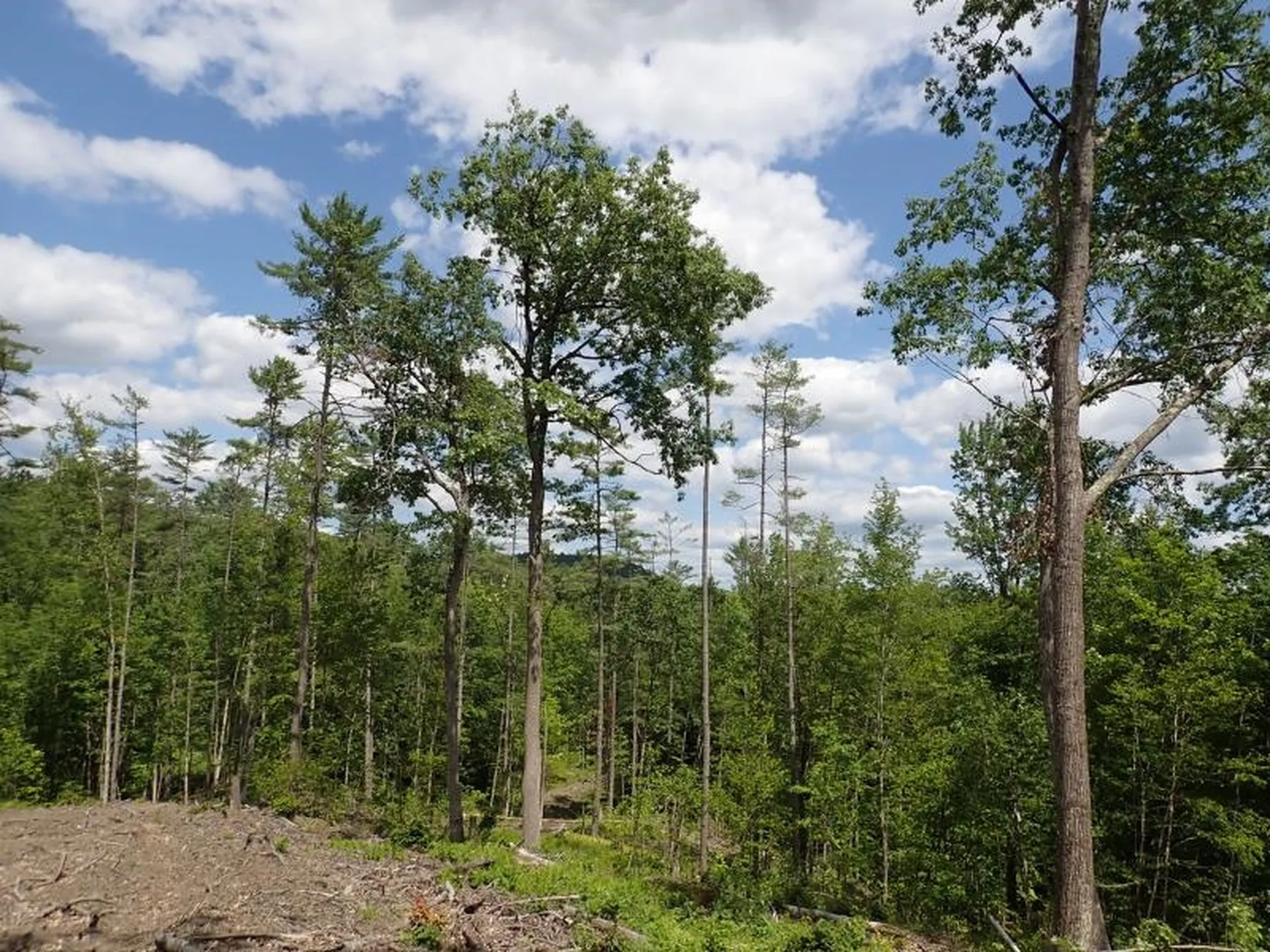 0 Denio Road Barnet VT 05821