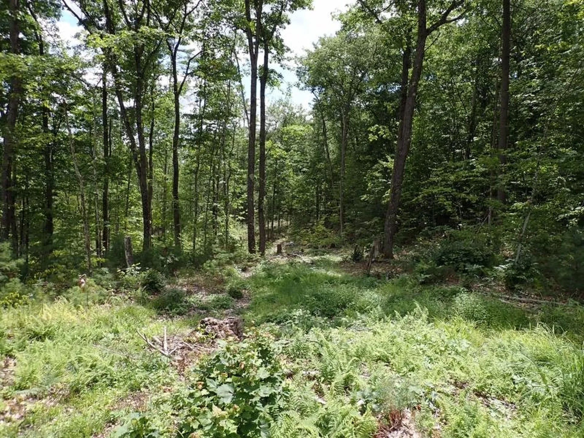 0 Denio Road Barnet VT 05821