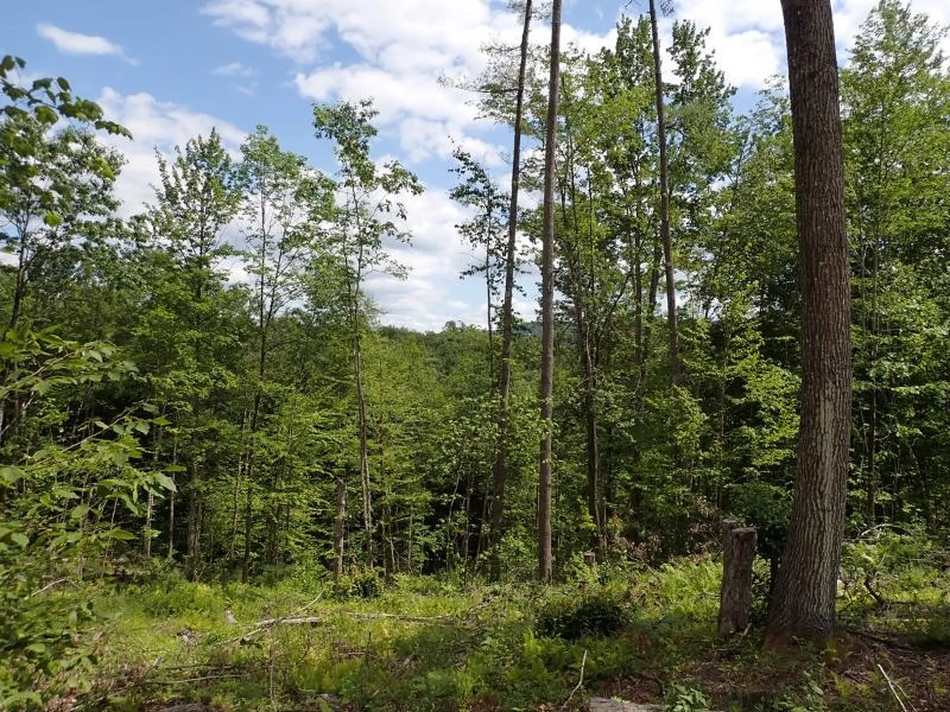 0 Denio Road Barnet VT 05821