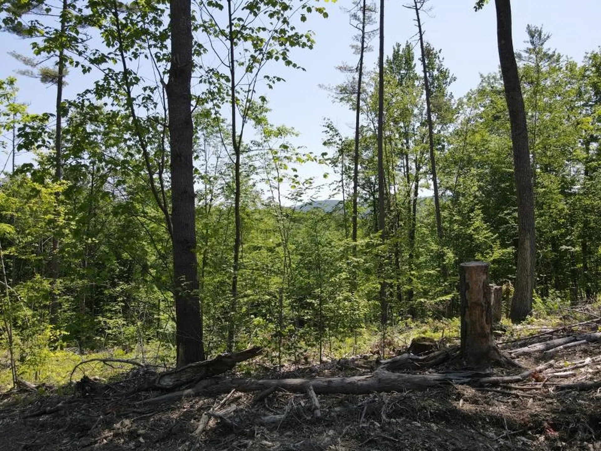 0 Denio Road Barnet VT 05821