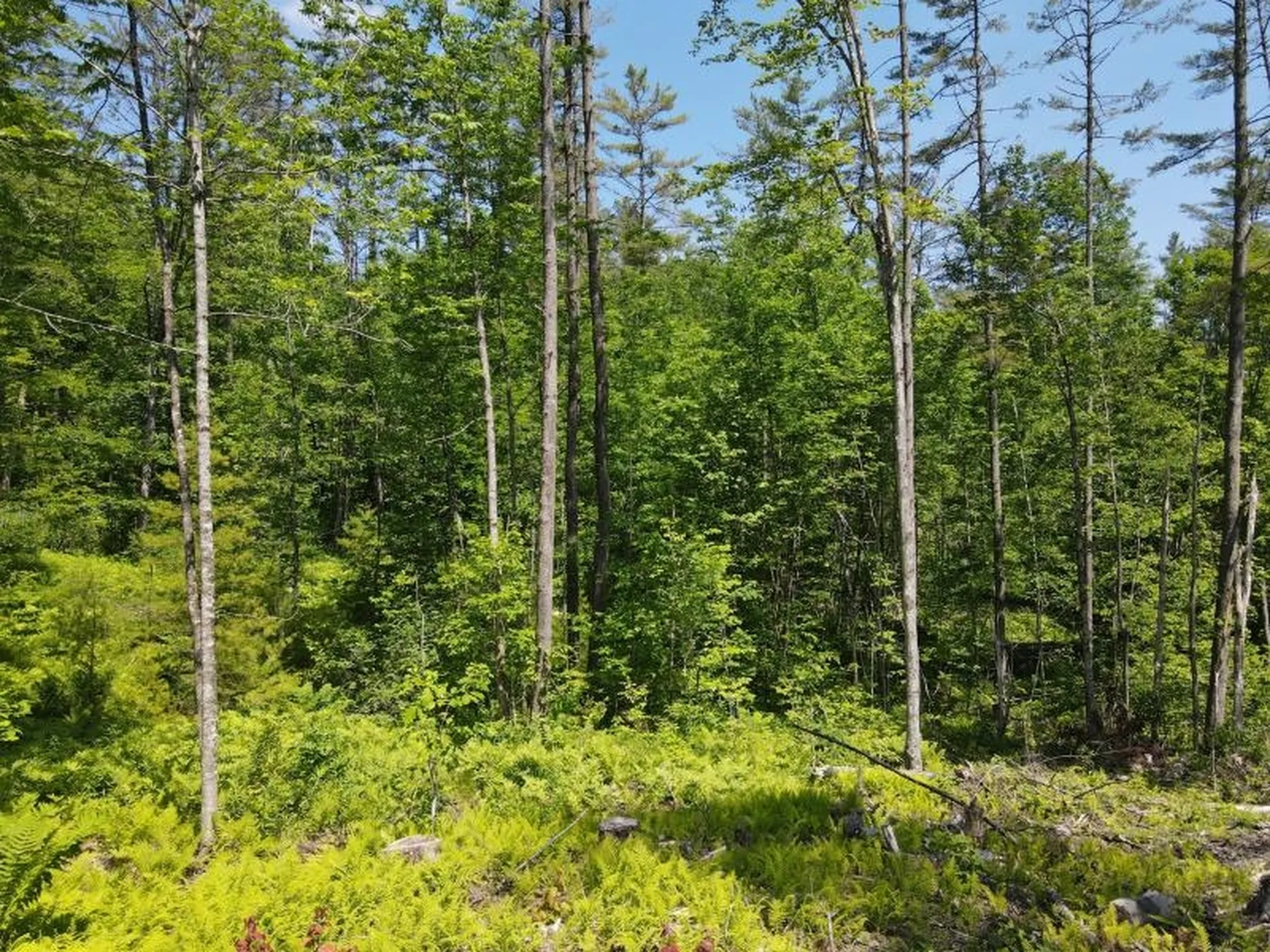 0 Denio Road Barnet VT 05821