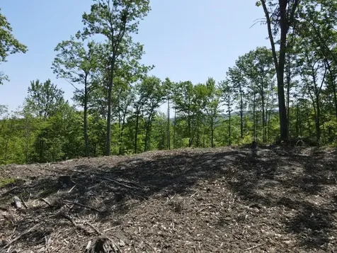 0 Denio Road Barnet VT 05821