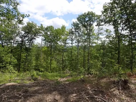 0 Denio Road Barnet VT 05821