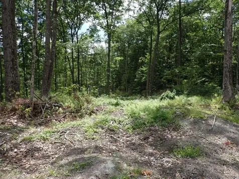 0 Denio Road Barnet VT 05821