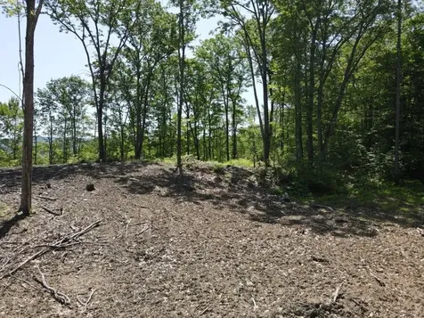 0 Denio Road Barnet VT 05821