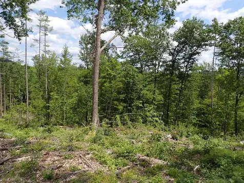 0 Denio Road Barnet VT 05821