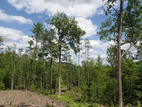 0 Denio Road Barnet VT 05821