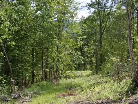 0 Denio Road Barnet VT 05821