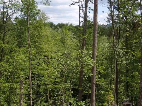 0 Denio Road Barnet VT 05821