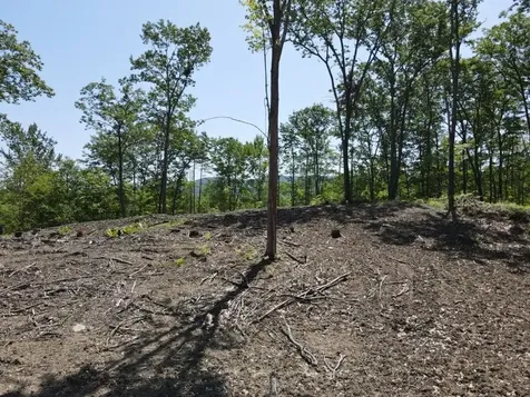 0 Denio Road Barnet VT 05821