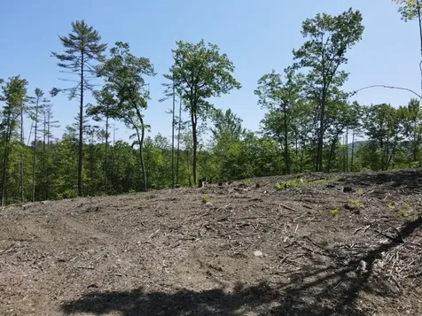 0 Denio Road Barnet VT 05821