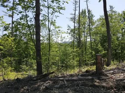 0 Denio Road Barnet VT 05821